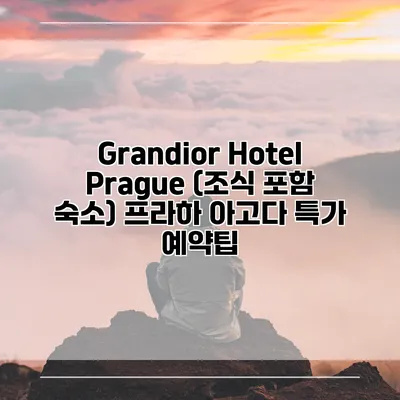 Grandior Hotel Prague (조식 포함 숙소) 프라하 아고다 특가 예약팁