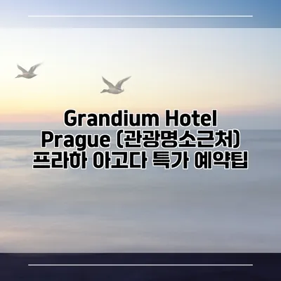 Grandium Hotel Prague (관광명소근처) 프라하 아고다 특가 예약팁