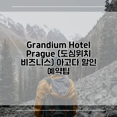 Grandium Hotel Prague (도심위치 비즈니스) 아고다 할인 예약팁