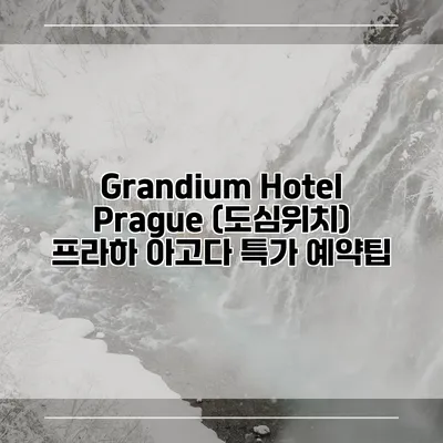 Grandium Hotel Prague (도심위치) 프라하 아고다 특가 예약팁