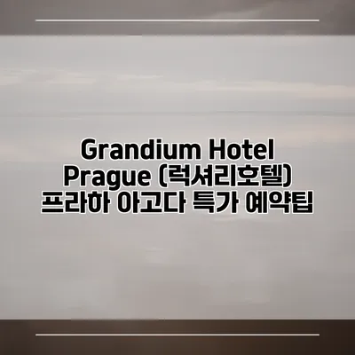 Grandium Hotel Prague (럭셔리호텔) 프라하 아고다 특가 예약팁