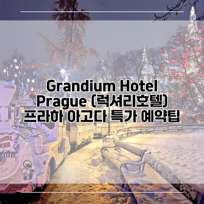 Grandium Hotel Prague (럭셔리호텔) 프라하 아고다 특가 예약팁