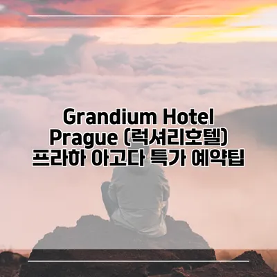 Grandium Hotel Prague (럭셔리호텔) 프라하 아고다 특가 예약팁