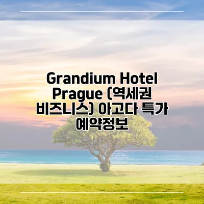 Grandium Hotel Prague (역세권 비즈니스) 아고다 특가 예약정보