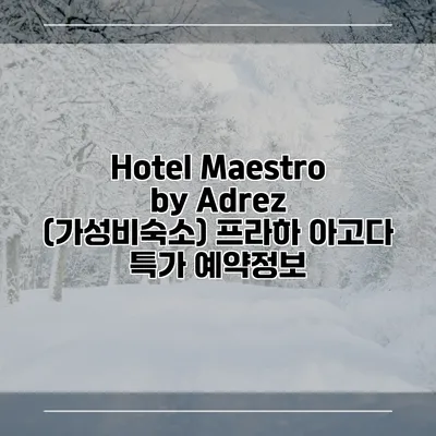 Hotel Maestro by Adrez (가성비숙소) 프라하 아고다 특가 예약정보