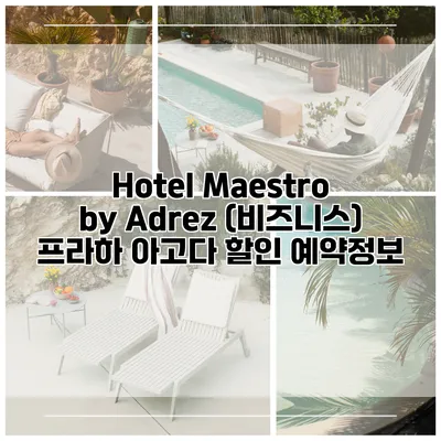 Hotel Maestro by Adrez (비즈니스) 프라하 아고다 할인 예약정보