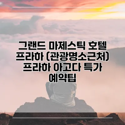 그랜드 마제스틱 호텔 프라하 (관광명소근처) 프라하 아고다 특가 예약팁