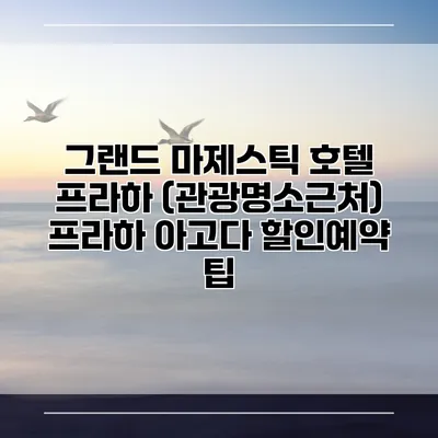 그랜드 마제스틱 호텔 프라하 (관광명소근처) 프라하 아고다 할인예약 팁