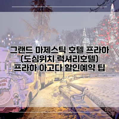 그랜드 마제스틱 호텔 프라하 (도심위치 럭셔리호텔) 프라하 아고다 할인예약 팁