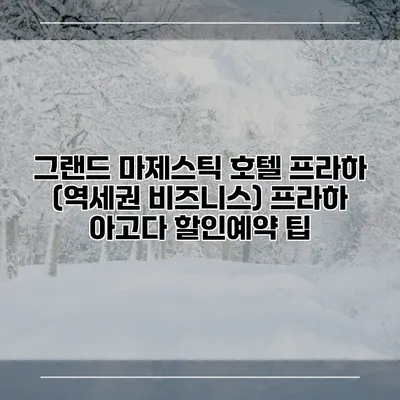 그랜드 마제스틱 호텔 프라하 (역세권 비즈니스) 프라하 아고다 할인예약 팁