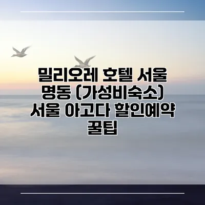 밀리오레 호텔 서울 명동 (가성비숙소) 서울 아고다 할인예약 꿀팁