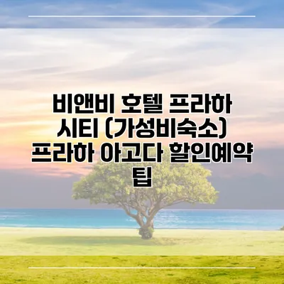 비앤비 호텔 프라하 시티 (가성비숙소) 프라하 아고다 할인예약 팁
