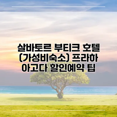 살바토르 부티크 호텔 (가성비숙소) 프라하 아고다 할인예약 팁