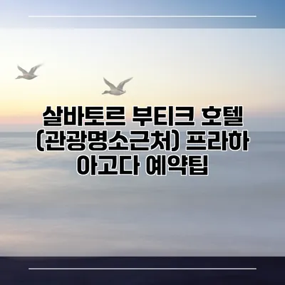 살바토르 부티크 호텔 (관광명소근처) 프라하 아고다 예약팁