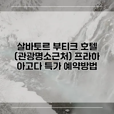 살바토르 부티크 호텔 (관광명소근처) 프라하 아고다 특가 예약방법