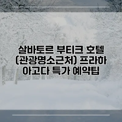 살바토르 부티크 호텔 (관광명소근처) 프라하 아고다 특가 예약팁