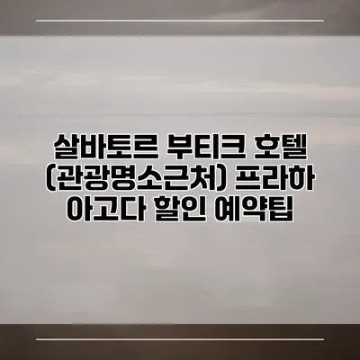 살바토르 부티크 호텔 (관광명소근처) 프라하 아고다 할인 예약팁