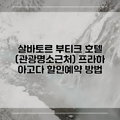 살바토르 부티크 호텔 (관광명소근처) 프라하 아고다 할인예약 방법