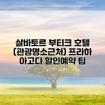 살바토르 부티크 호텔 (관광명소근처) 프라하 아고다 할인예약 팁