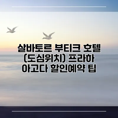살바토르 부티크 호텔 (도심위치) 프라하 아고다 할인예약 팁