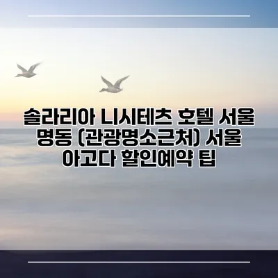 솔라리아 니시테츠 호텔 서울 명동 (관광명소근처) 서울 아고다 할인예약 팁