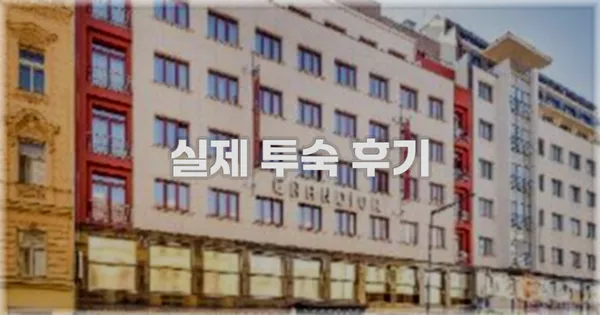 💬 실제 투숙 후기