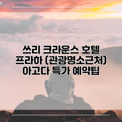 쓰리 크라운스 호텔 프라하 (관광명소근처) 아고다 특가 예약팁
