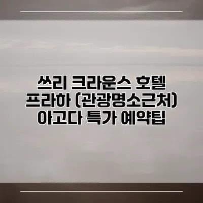 쓰리 크라운스 호텔 프라하 (관광명소근처) 아고다 특가 예약팁