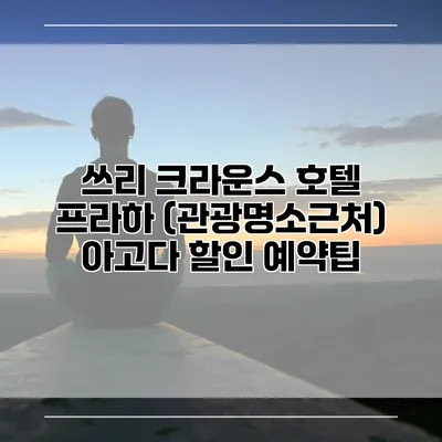 쓰리 크라운스 호텔 프라하 (관광명소근처) 아고다 할인 예약팁