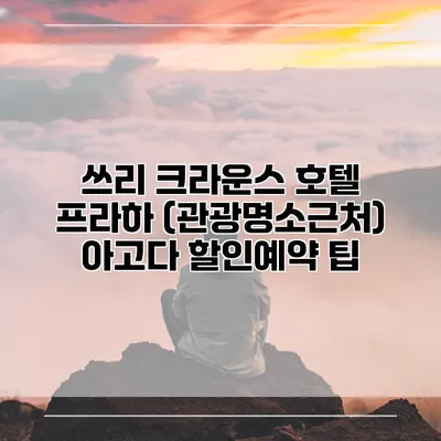 쓰리 크라운스 호텔 프라하 (관광명소근처) 아고다 할인예약 팁