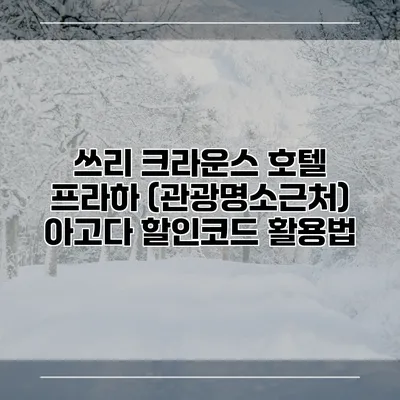 쓰리 크라운스 호텔 프라하 (관광명소근처) 아고다 할인코드 활용법