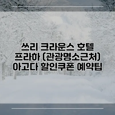 쓰리 크라운스 호텔 프라하 (관광명소근처) 아고다 할인쿠폰 예약팁