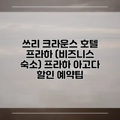 쓰리 크라운스 호텔 프라하 (비즈니스 숙소) 프라하 아고다 할인 예약팁