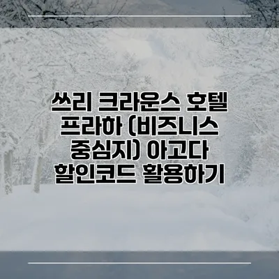 쓰리 크라운스 호텔 프라하 (비즈니스 중심지) 아고다 할인코드 활용하기