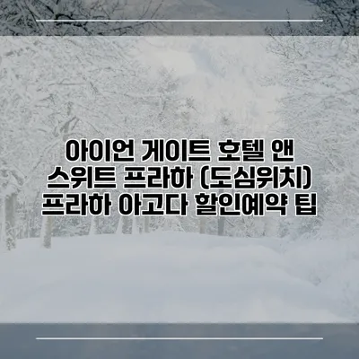 아이언 게이트 호텔 앤 스위트 프라하 (도심위치) 프라하 아고다 할인예약 팁