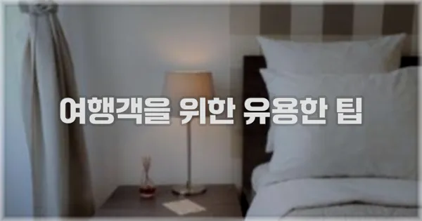여행객을 위한 유용한 팁