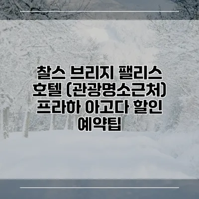 찰스 브리지 팰리스 호텔 (관광명소근처) 프라하 아고다 할인 예약팁