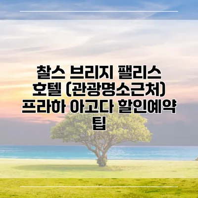 찰스 브리지 팰리스 호텔 (관광명소근처) 프라하 아고다 할인예약 팁