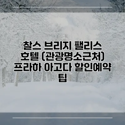찰스 브리지 팰리스 호텔 (관광명소근처) 프라하 아고다 할인예약 팁