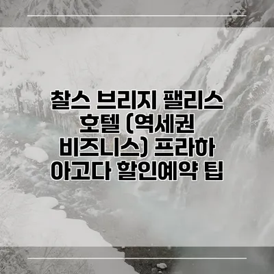 찰스 브리지 팰리스 호텔 (역세권 비즈니스) 프라하 아고다 할인예약 팁