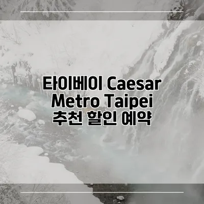 타이베이 Caesar Metro Taipei 추천 할인 예약