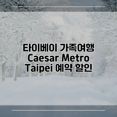 타이베이 가족여행 Caesar Metro Taipei 예약 할인