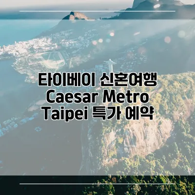 타이베이 신혼여행 Caesar Metro Taipei 특가 예약