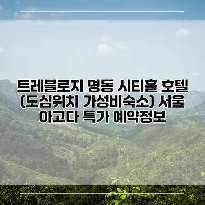 트레블로지 명동 시티홀 호텔 (도심위치 가성비숙소) 서울 아고다 특가 예약정보