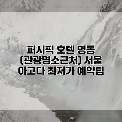 퍼시픽 호텔 명동 (관광명소근처) 서울 아고다 최저가 예약팁