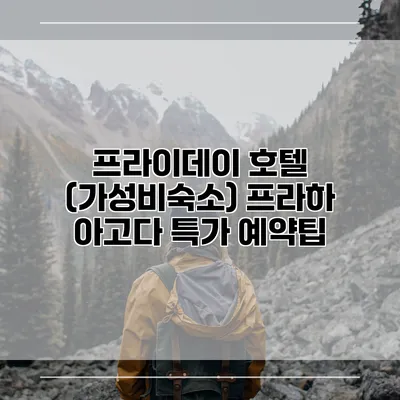 프라이데이 호텔 (가성비숙소) 프라하 아고다 특가 예약팁