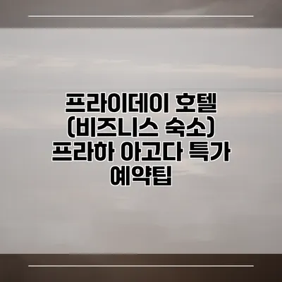 프라이데이 호텔 (비즈니스 숙소) 프라하 아고다 특가 예약팁