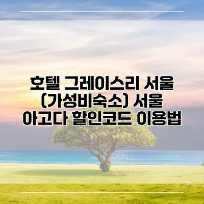 호텔 그레이스리 서울 (가성비숙소) 서울 아고다 할인코드 이용법