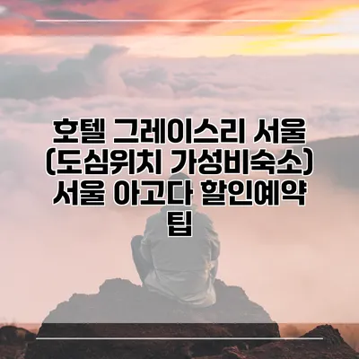 호텔 그레이스리 서울 (도심위치 가성비숙소) 서울 아고다 할인예약 팁