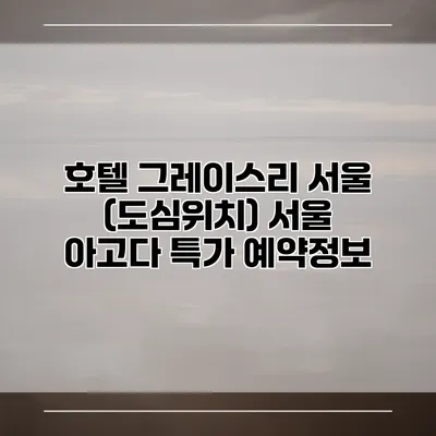 호텔 그레이스리 서울 (도심위치) 서울 아고다 특가 예약정보